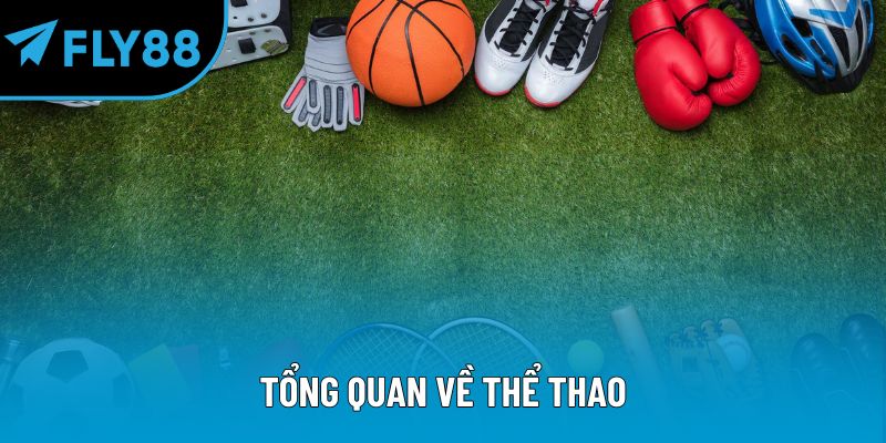 Tổng quan về thể thao