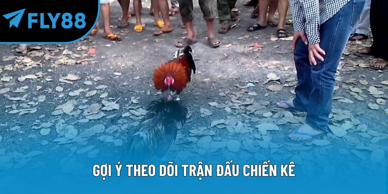 Gợi ý theo dõi trận đấu chiến kê